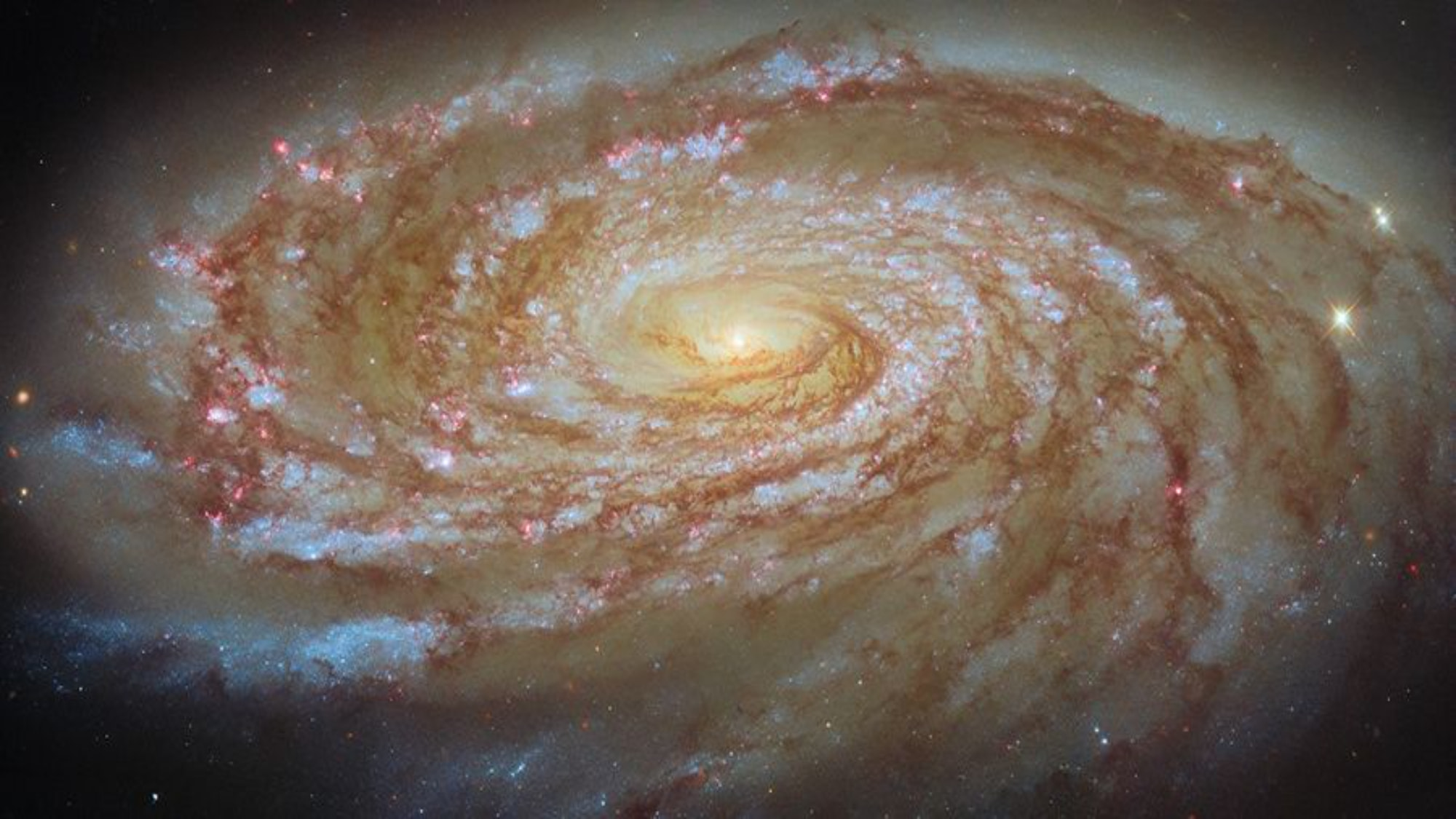 Triangulum Galaxy observational overview